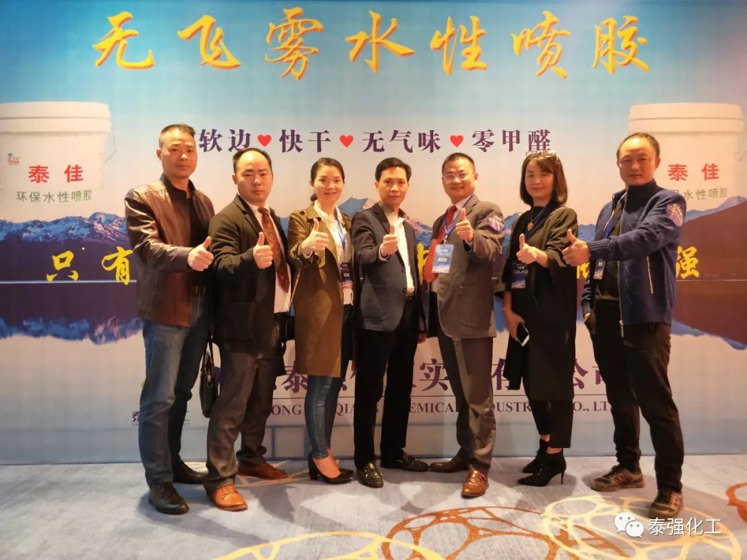泰强化工受邀出席广东湘楚川家居商会联盟盛典暨2018迎春联欢晚会(图8)