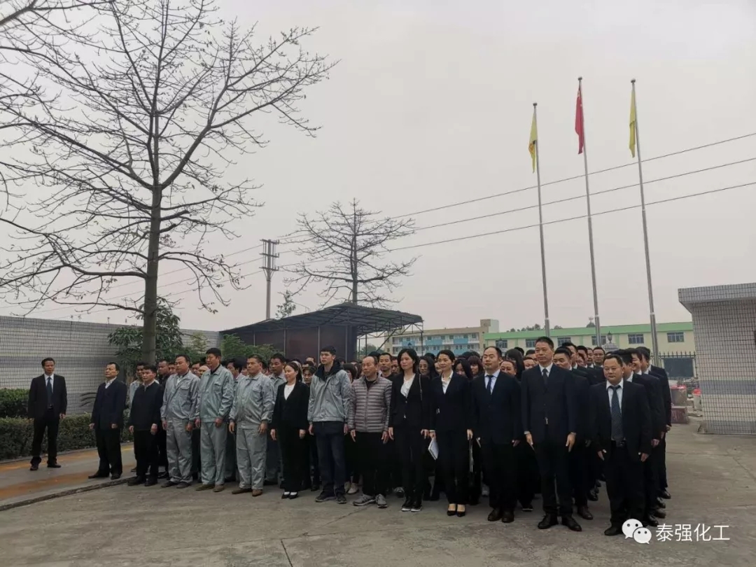 开工大吉！！！新年伊始，泰强2019全新出发！(图2)